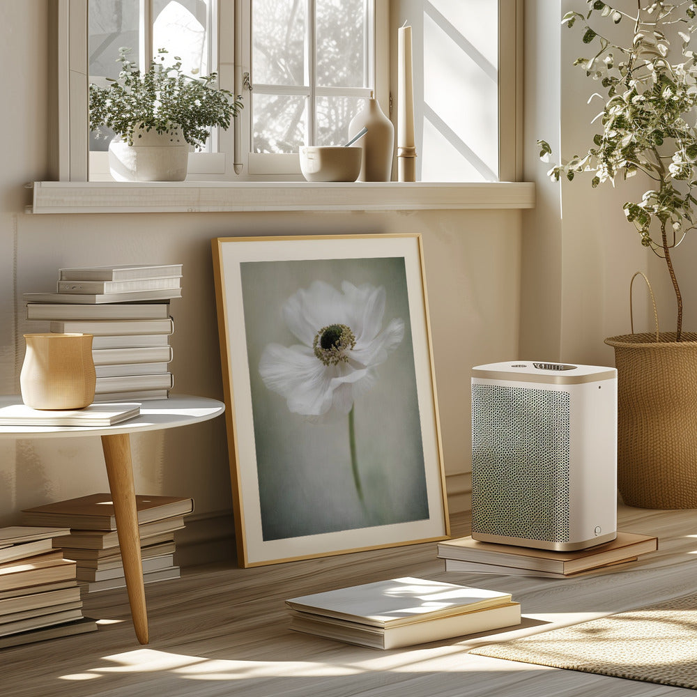 Single White Poster och Canvastavla