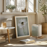 Single White Poster och Canvastavla