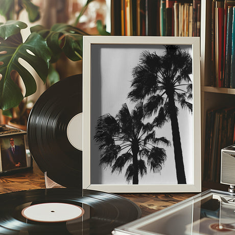 Palm Contrast Poster och Canvastavla