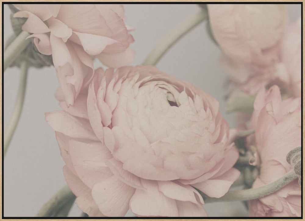 01644 Poster och Canvastavla