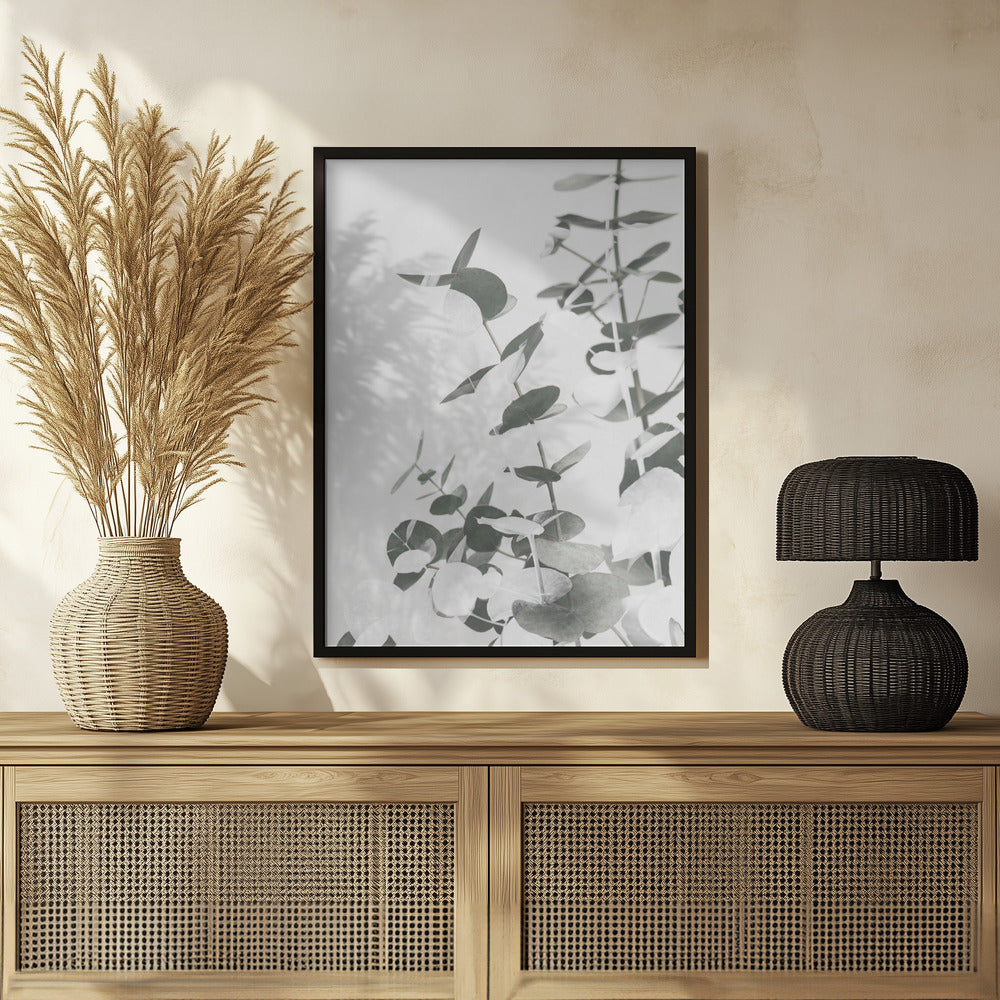 Eucalyptus Creative 10 Poster och Canvastavla