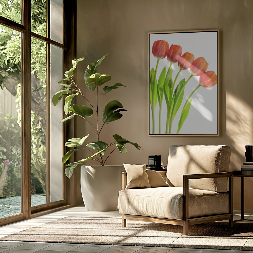 five tulips Poster och Canvastavla