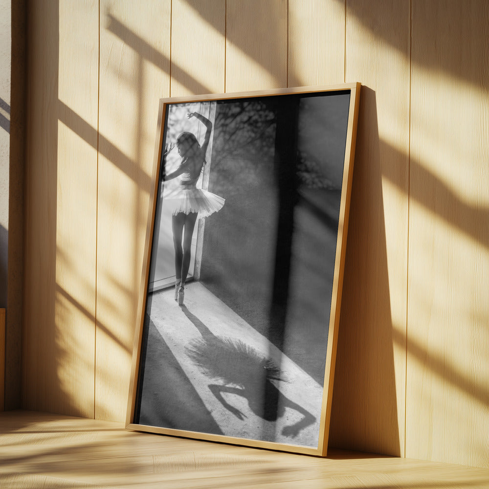 Shadow Dance Poster och Canvastavla