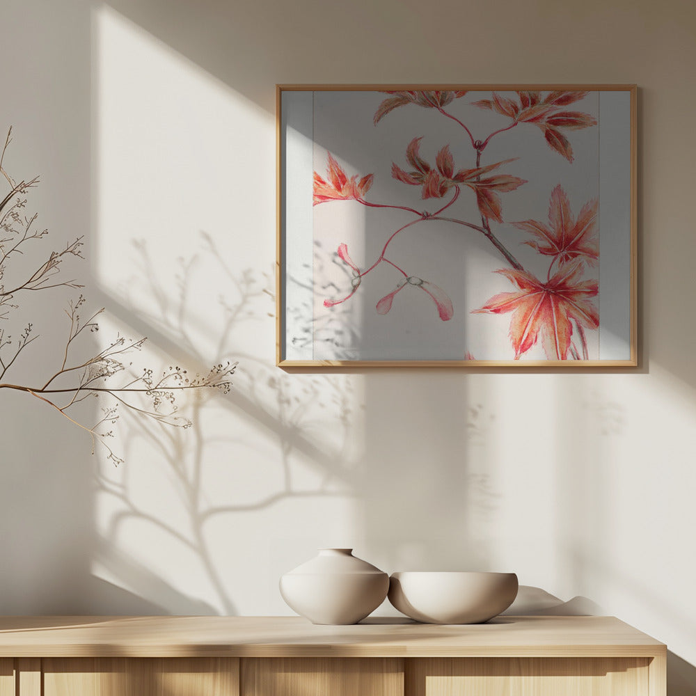 Branch of Momiji Maple Tree With Leaves and Seeds During 1870–1880 Poster och Canvastavla