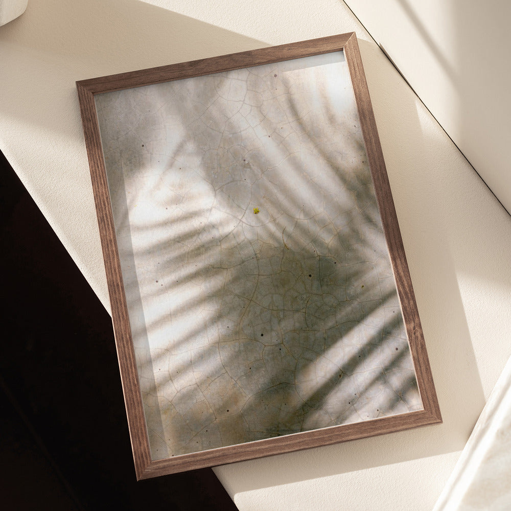 Palm Shadows Poster och Canvastavla