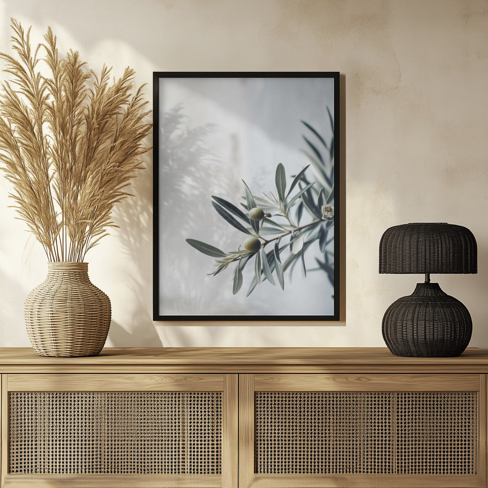 Olives Poster och Canvastavla