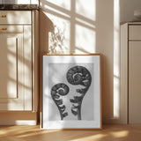 Aspidium Filix Mas Poster och Canvastavla