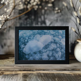 Underwater Cloud Poster och Canvastavla