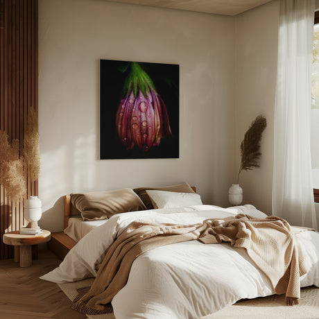 After the rain Poster och Canvastavla