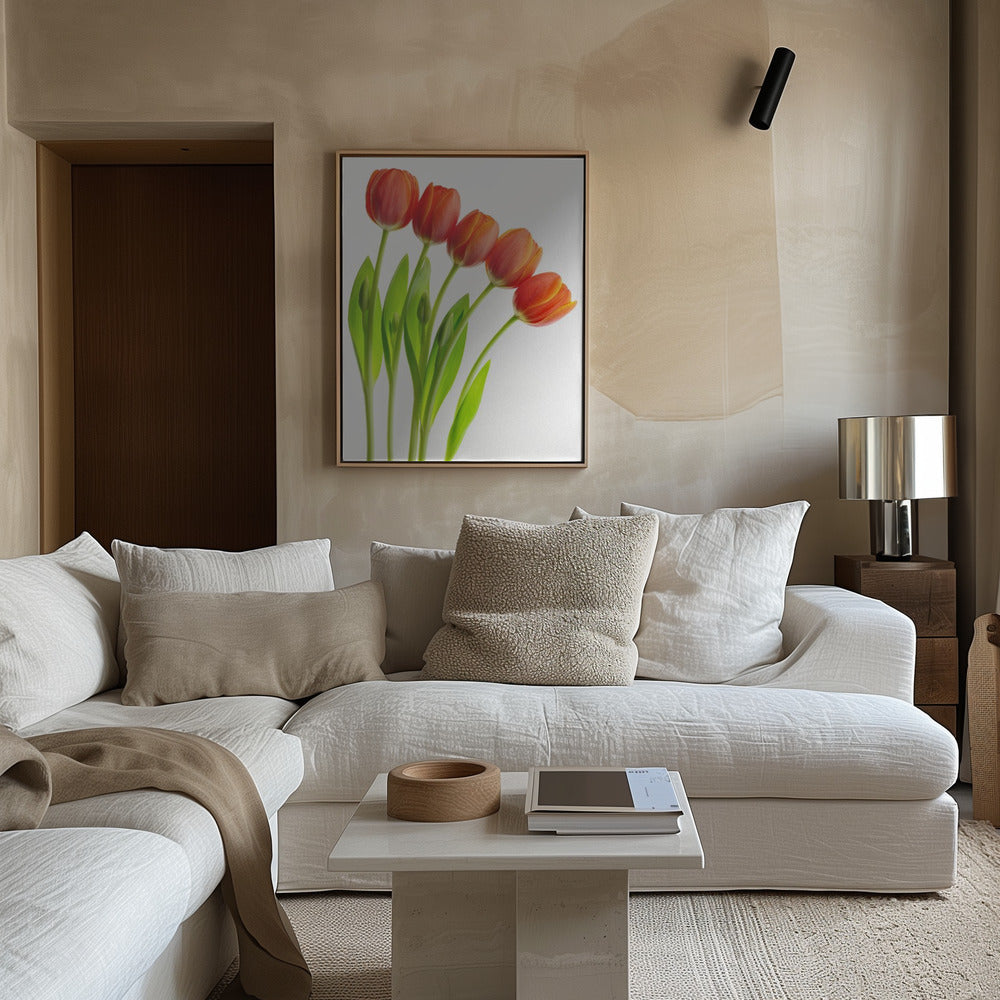 five tulips Poster och Canvastavla