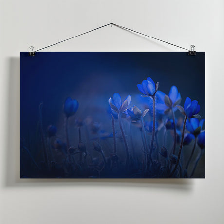Out of the blue Poster och Canvastavla