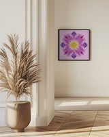 my secret garden (tulips) Poster och Canvastavla