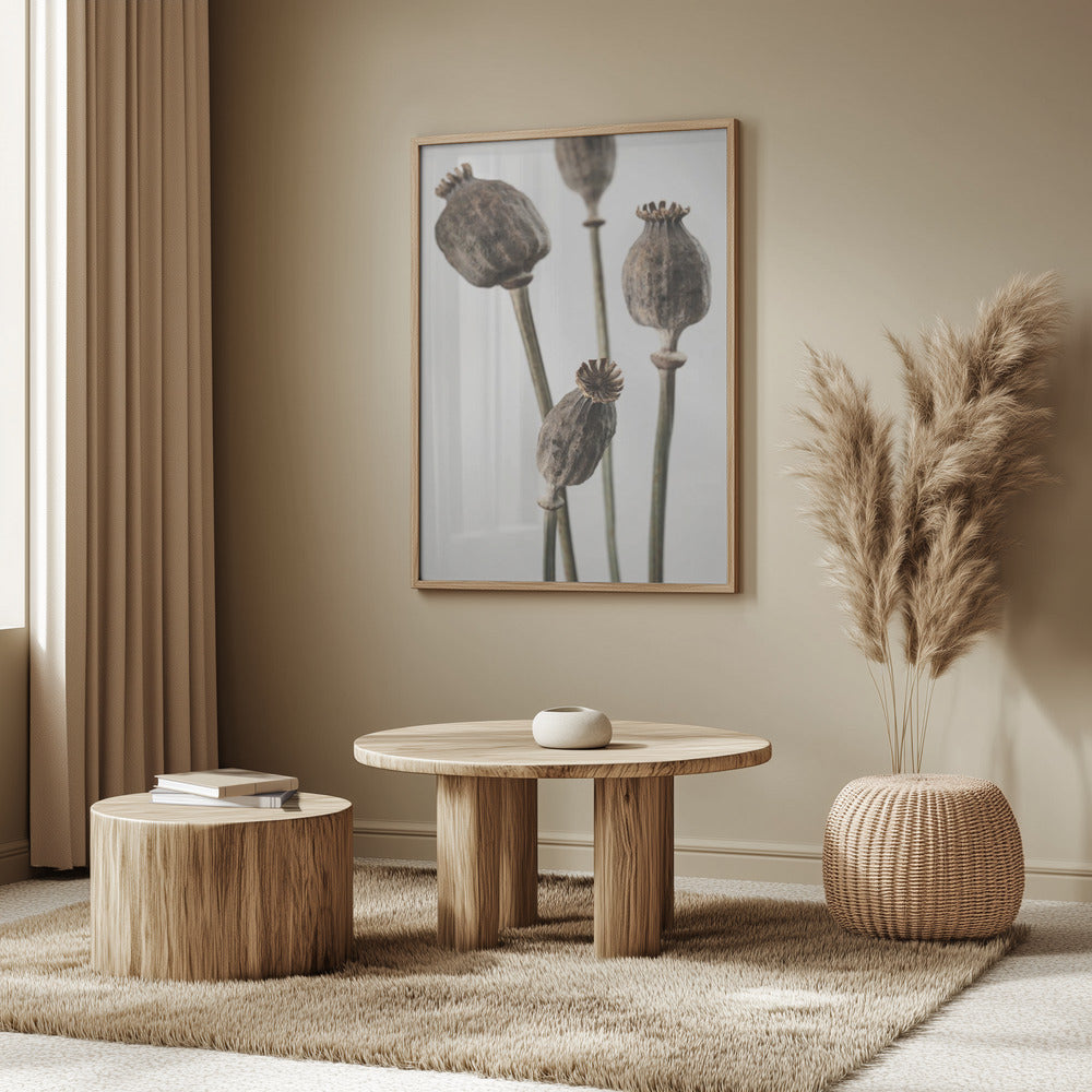 Dried_006 Poster och Canvastavla