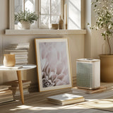 Chrysanthemum No 03 Poster och Canvastavla