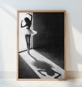 Shadow Dance Poster och Canvastavla