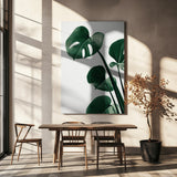 Monstera Natural 38 Poster och Canvastavla