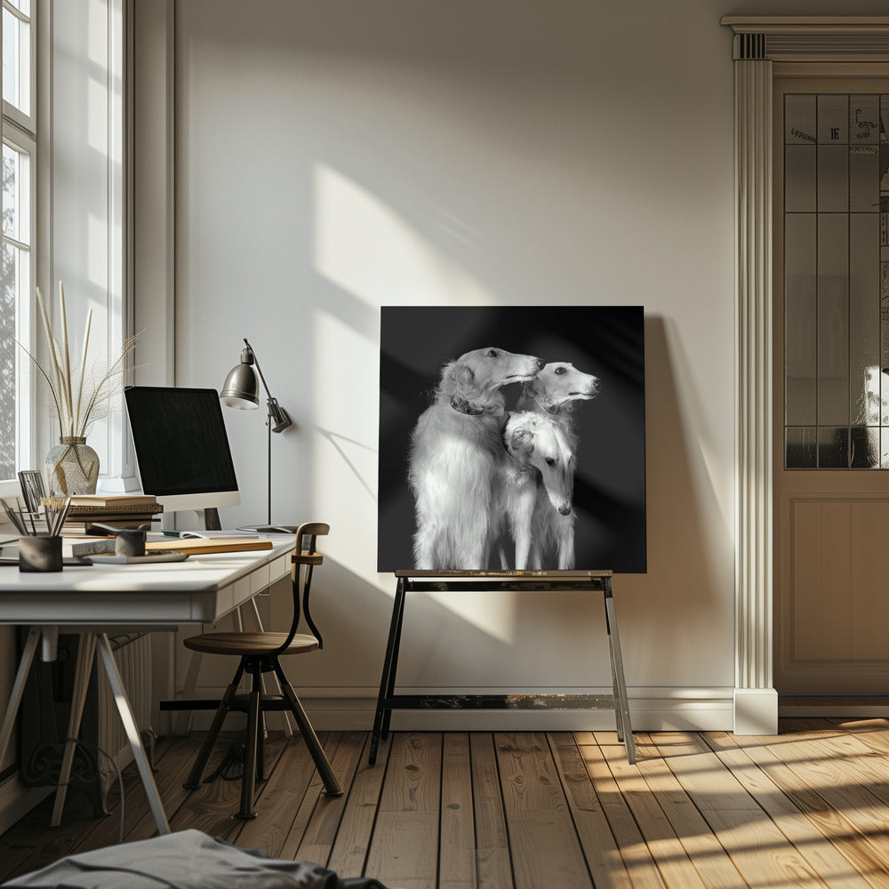 3 of a kind Poster och Canvastavla