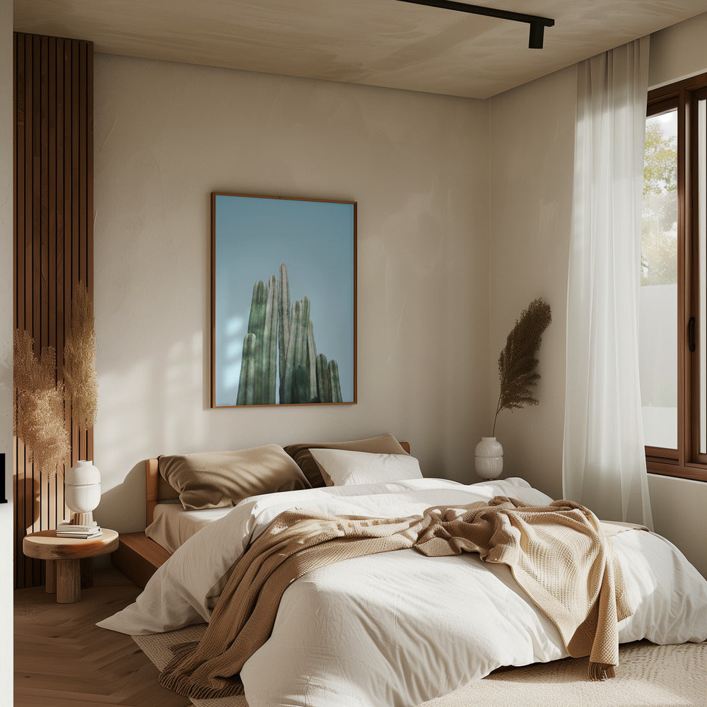 Cacti Poster och Canvastavla