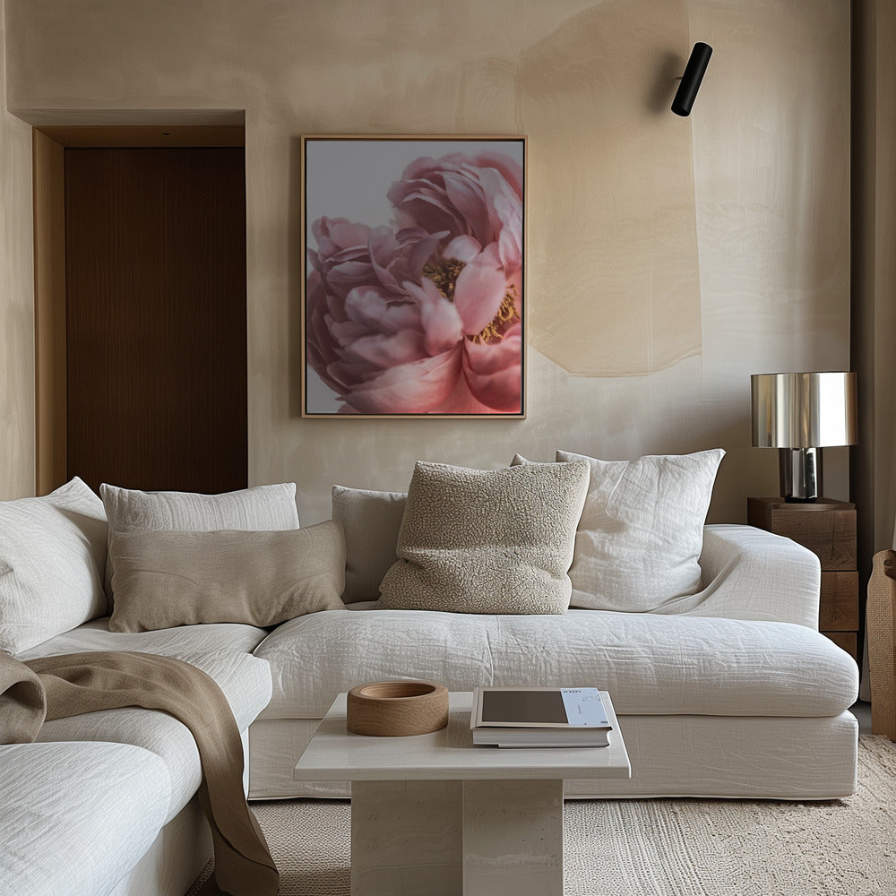 Peony Poster och Canvastavla