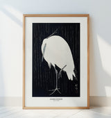 Egret In The Rain Poster och Canvastavla