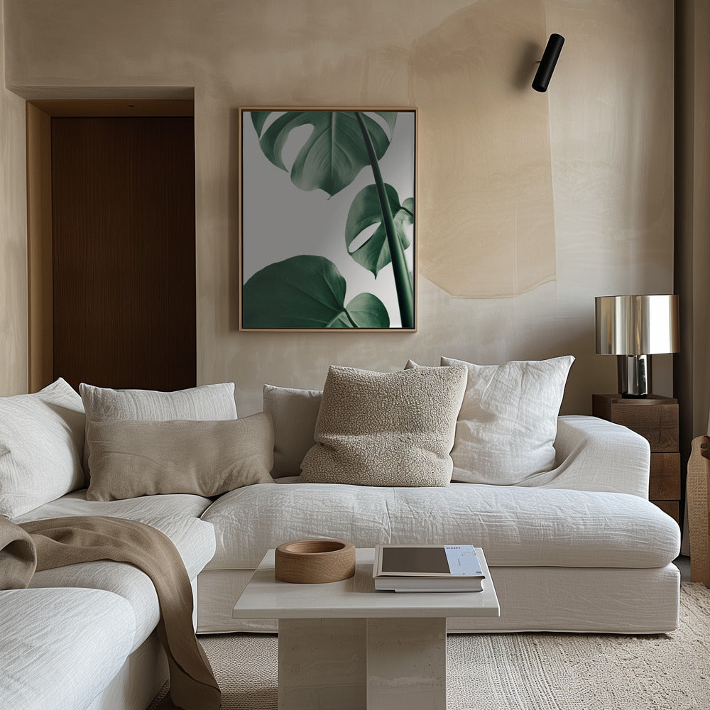 Monstera Natural 37 Poster och Canvastavla