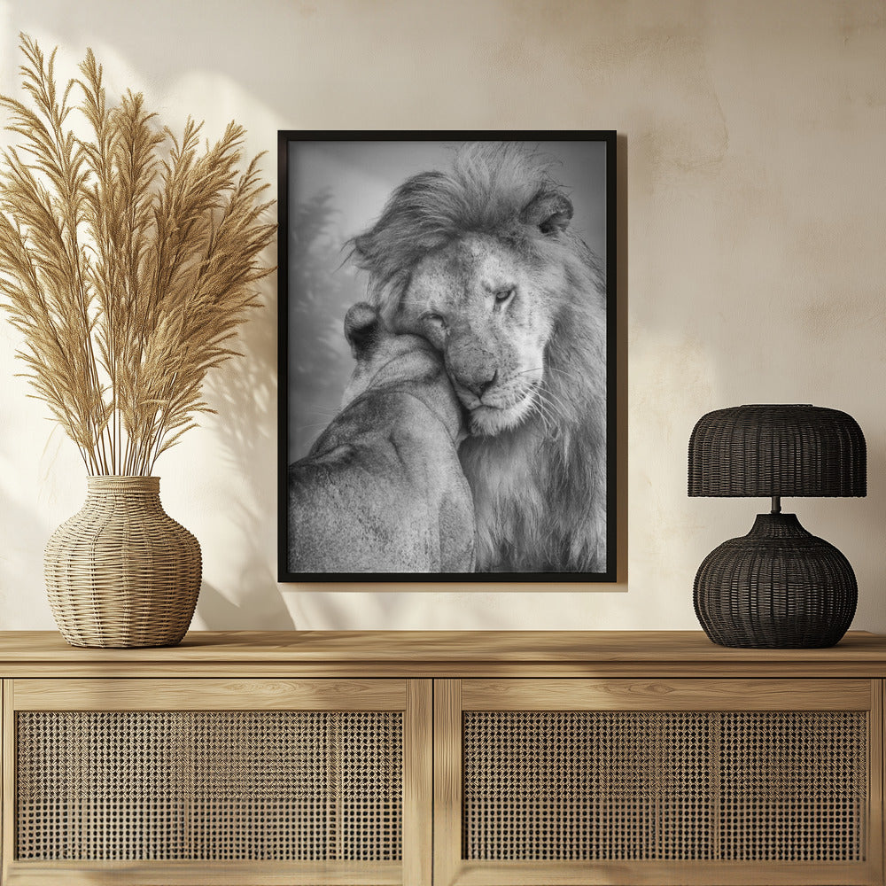 African Love! Poster och Canvastavla