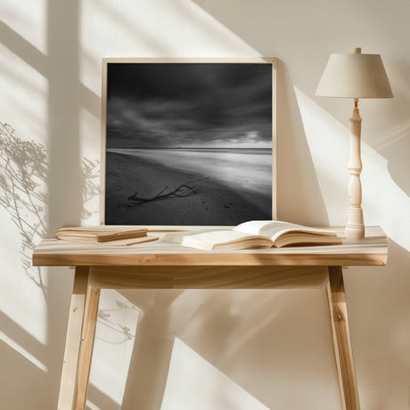 Branch on the shore Poster och Canvastavla