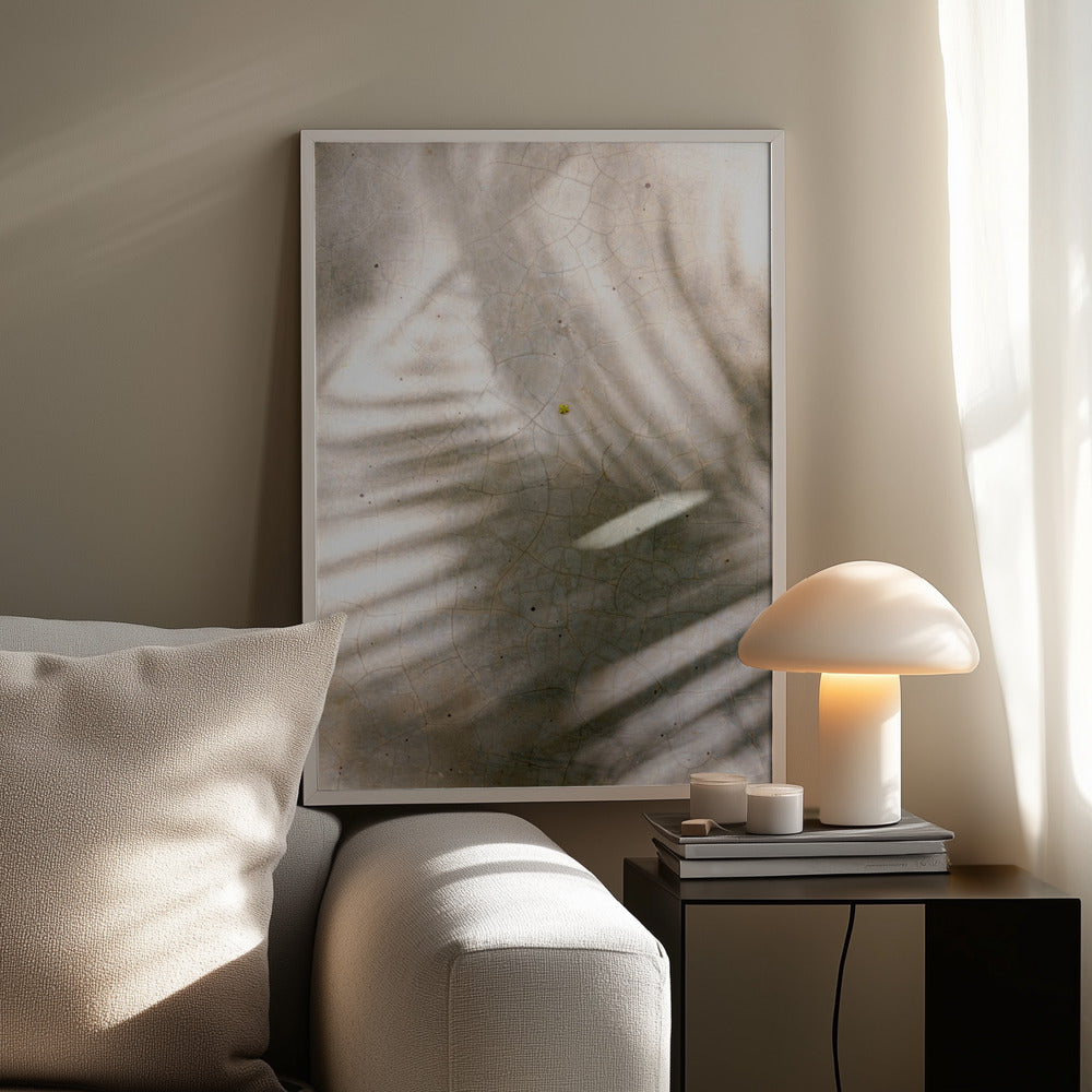 Palm Shadows Poster och Canvastavla