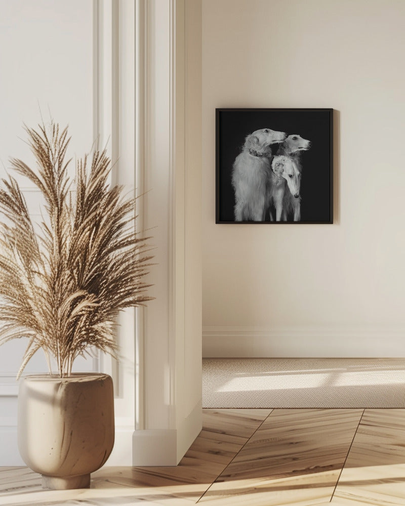 3 of a kind Poster och Canvastavla