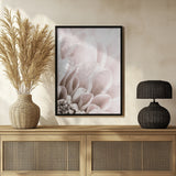 Chrysanthemum No 03 Poster och Canvastavla