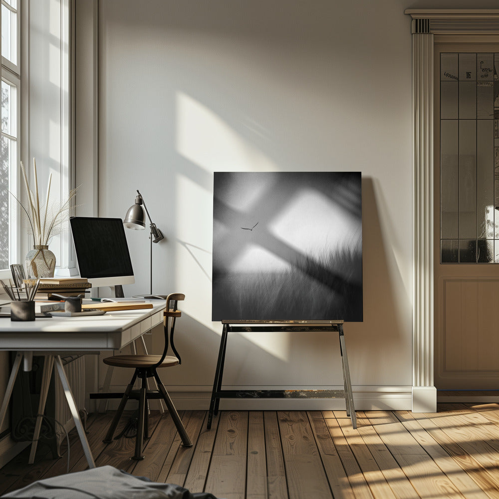 Seagull Poster och Canvastavla