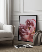Peony Poster och Canvastavla