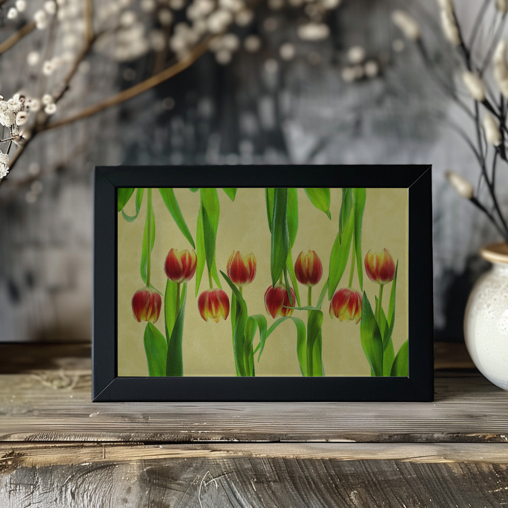 tulips Poster och Canvastavla