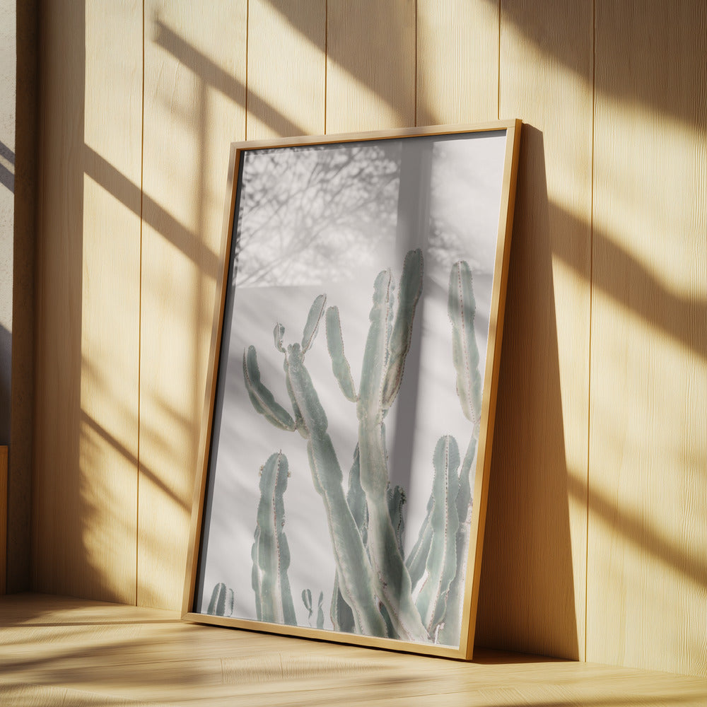 Sunrise Cactus Poster och Canvastavla