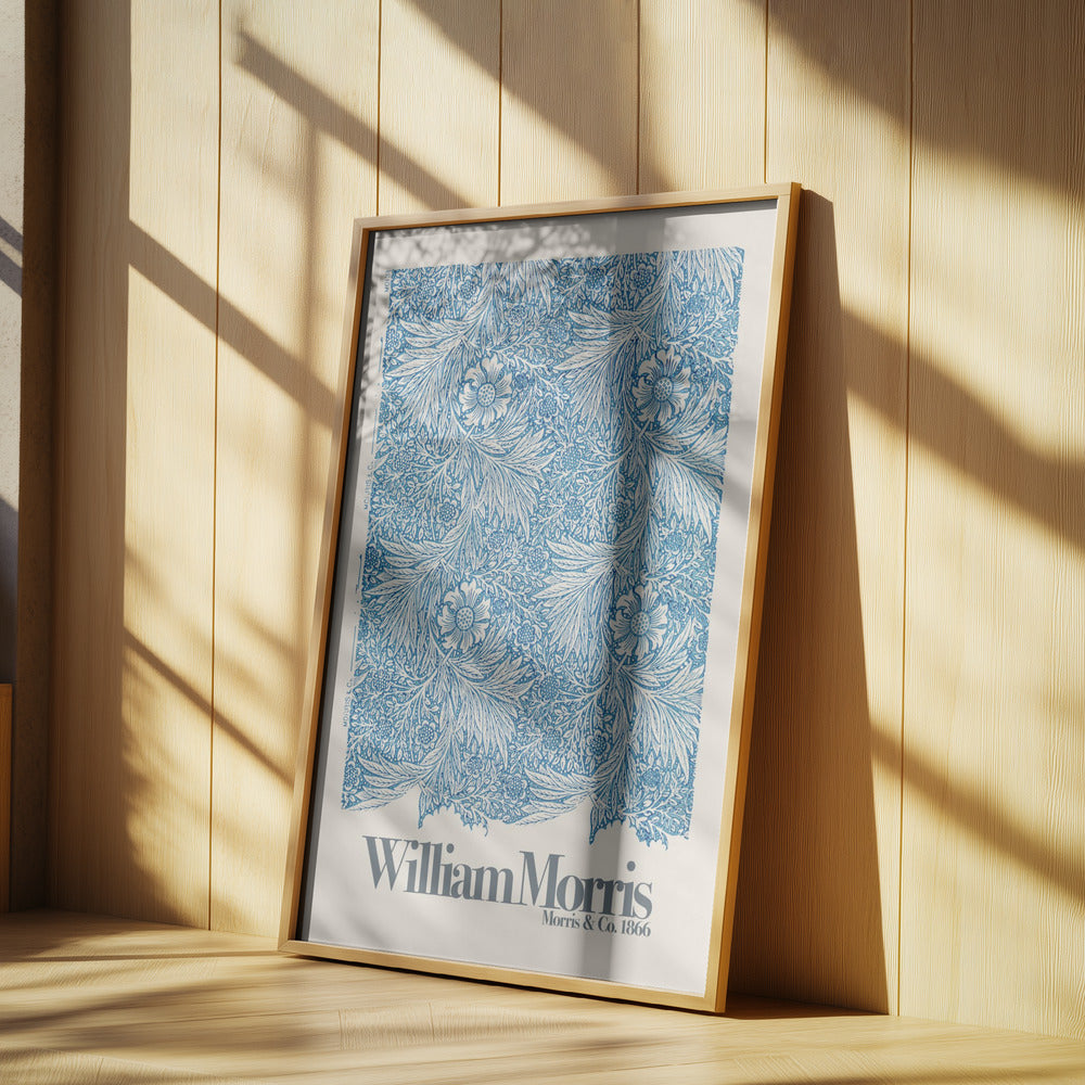 Marigold Poster och Canvastavla