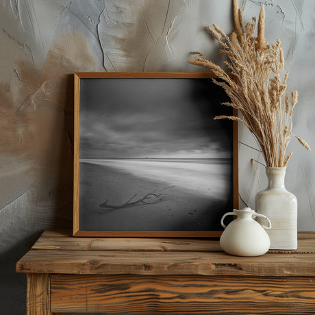 Branch on the shore Poster och Canvastavla