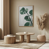 Monstera Natural 38 Poster och Canvastavla
