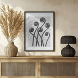 Adiantum pedatum Poster och Canvastavla