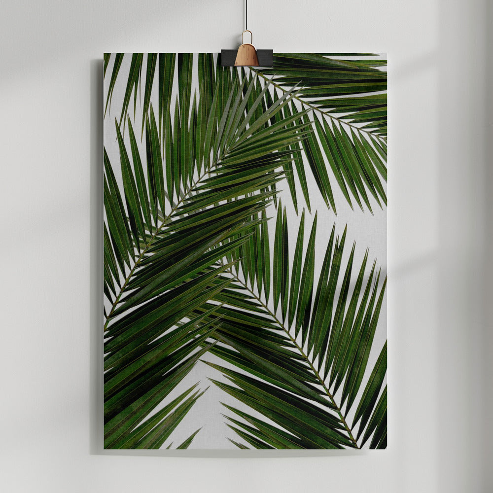 Palm Leaf III Poster och Canvastavla