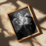 Fallen angel Poster och Canvastavla