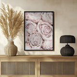Pink Roses No 01 Poster och Canvastavla