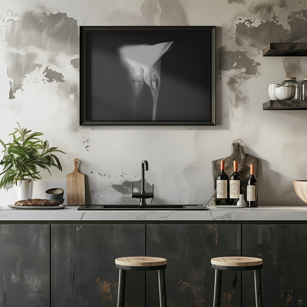 lucid dream Poster och Canvastavla