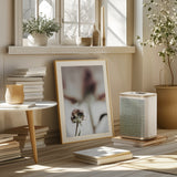 Peony 22 Poster och Canvastavla