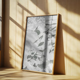 Eucalyptus Creative 10 Poster och Canvastavla