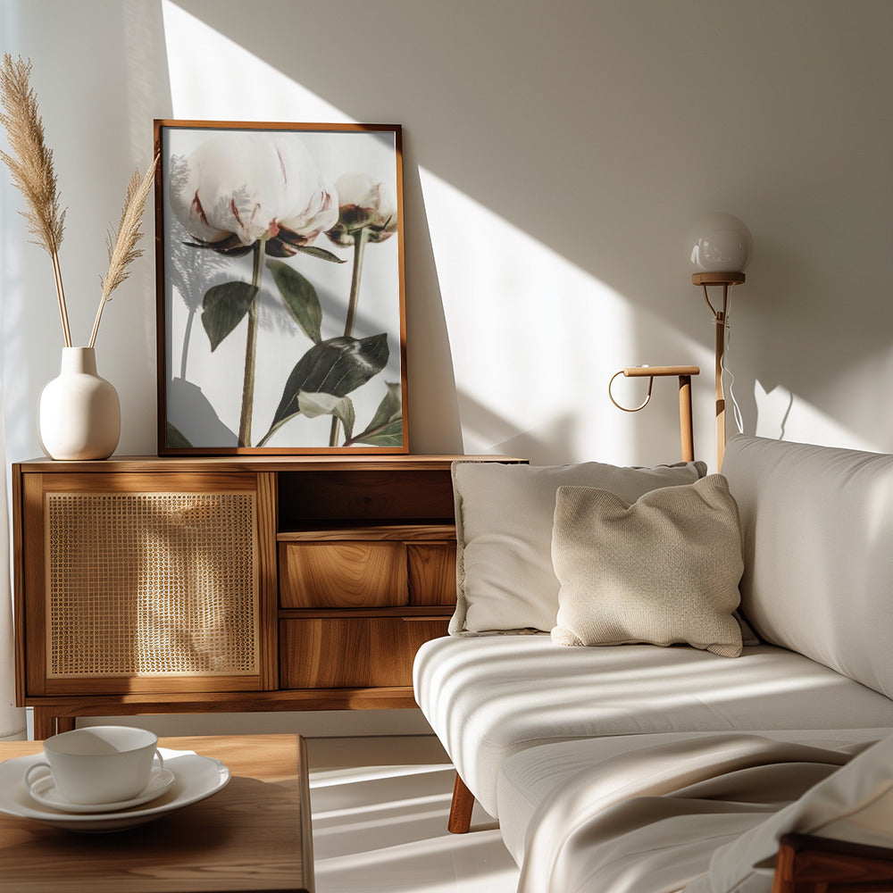 Peony 24 Poster och Canvastavla