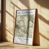 Chrysanthemum Poster och Canvastavla