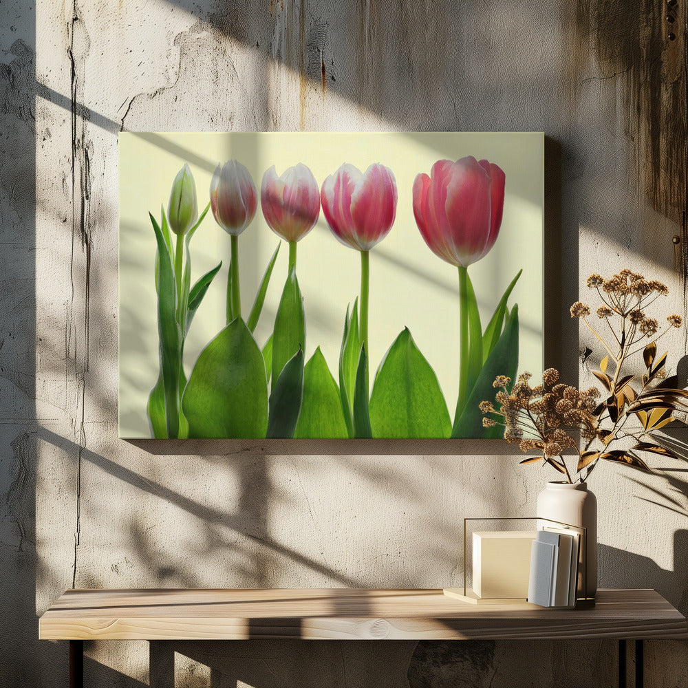 color growing Poster och Canvastavla