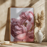 Peony Poster och Canvastavla