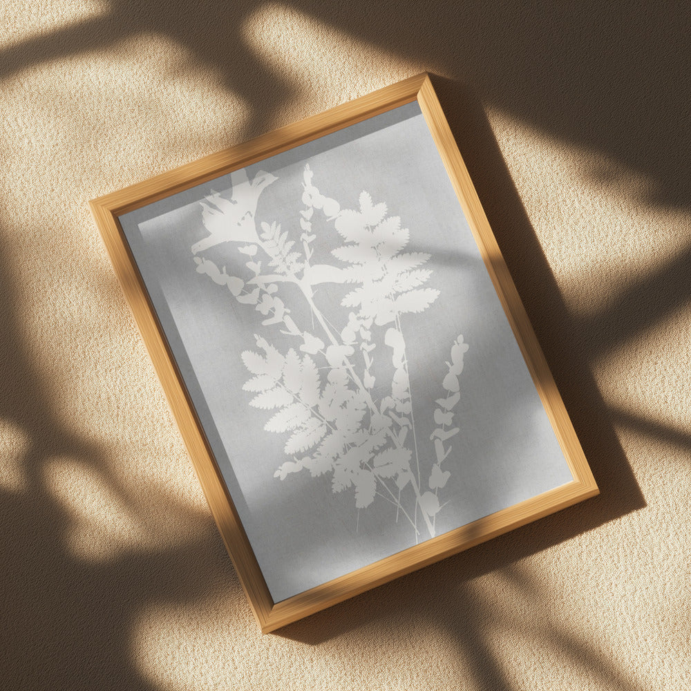 Botanical Illustration 5 Poster och Canvastavla