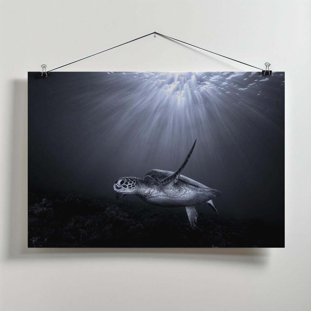 The deep Poster och Canvastavla